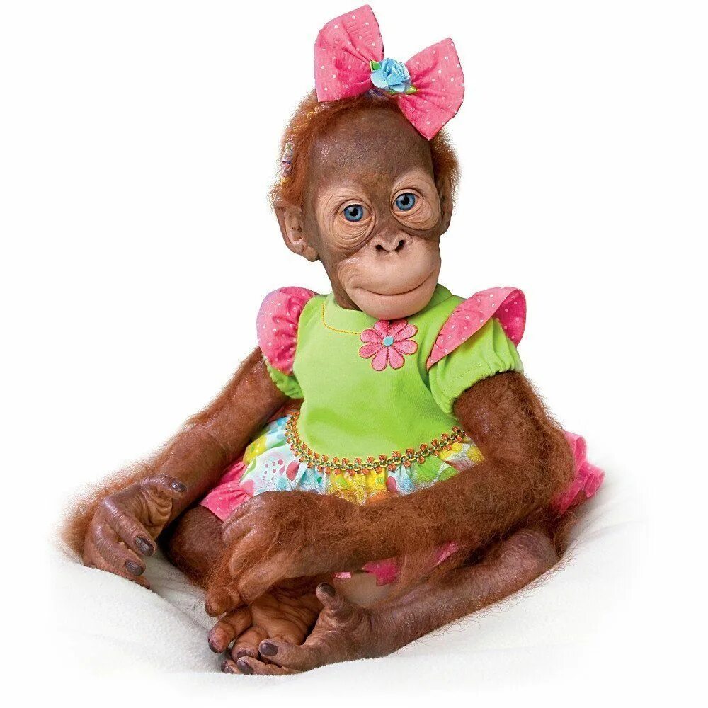 Шимпанзе девушку. Обезьянка в платье. Наряженная обезьянка. Красивая обезьянка в платье. Обезьяна девочка.