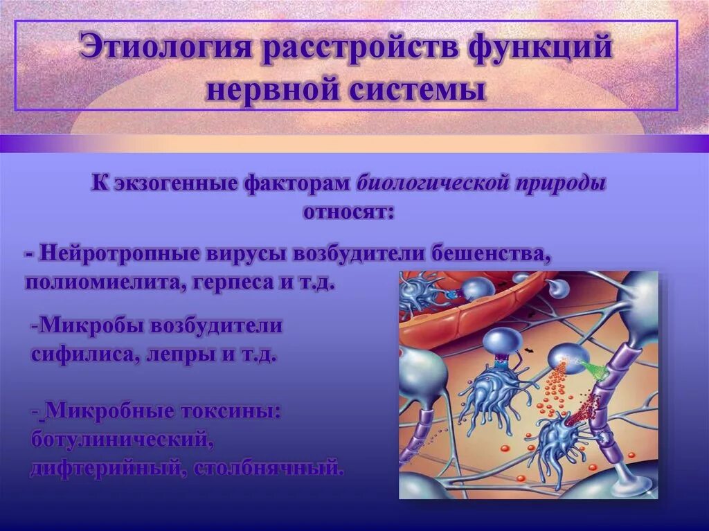 Патогенез расстройств функций нервной системы. Этиология нарушений деятельности нервной системы. Общая этиология и патогенез расстройств функций нервной. Этиология нарушений функций нервной системы. Нарушения функций центральной нервной системы