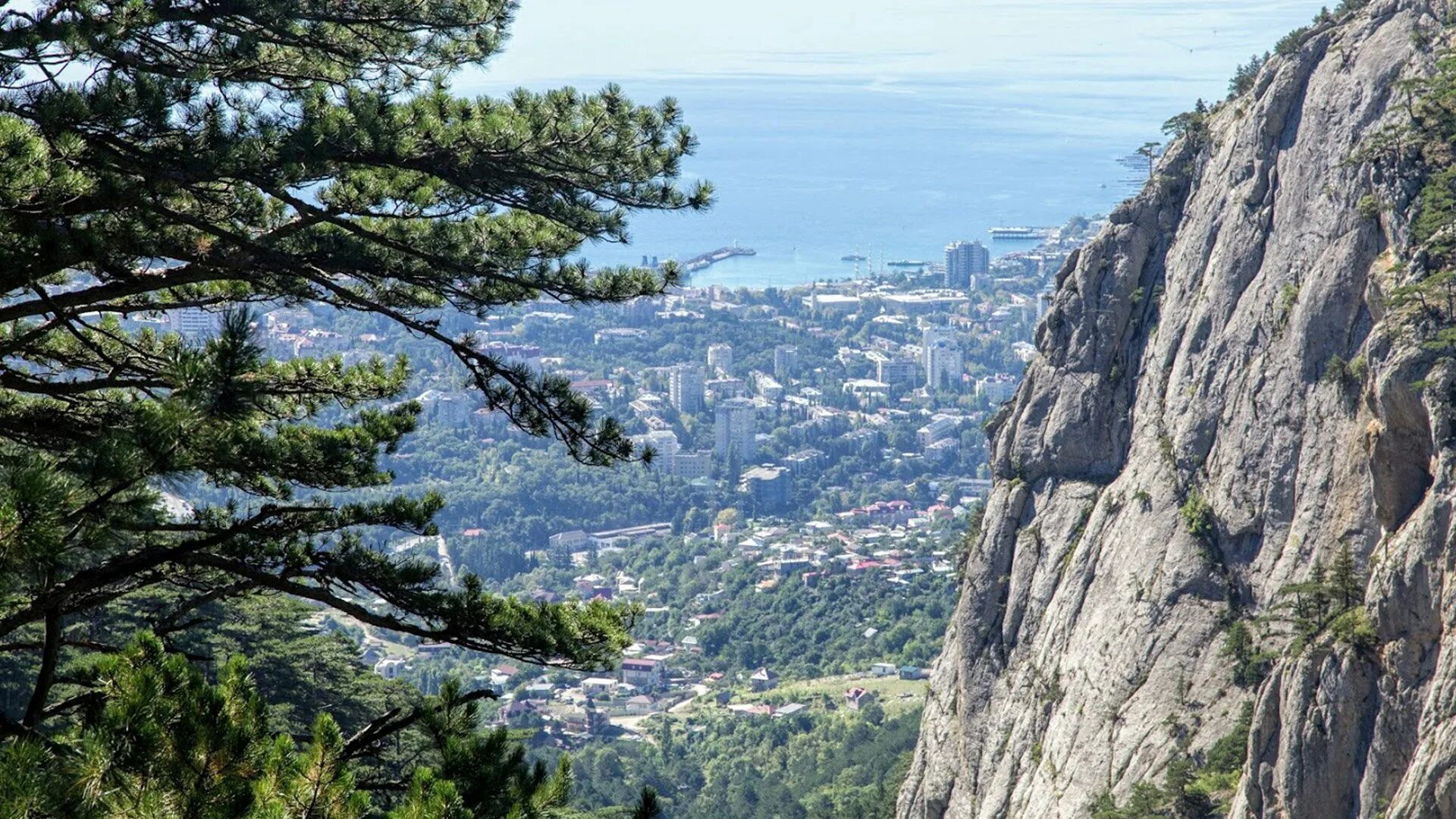 Ялтенский. Ялтинский Горно-Лесной заповедник. Горно Лесной природный заповедник Ялта. Крымский заповедник Ялтинский. Ялтинский горнолесной заповедник.