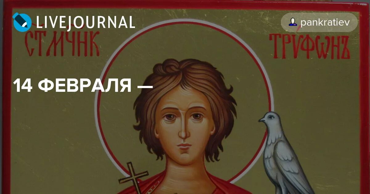 День Святого Трифона покровителя охотников и рыболовов. 14 Февраля день Святого Трифона покровителя охотников и рыболовов. День покровителя охотников.