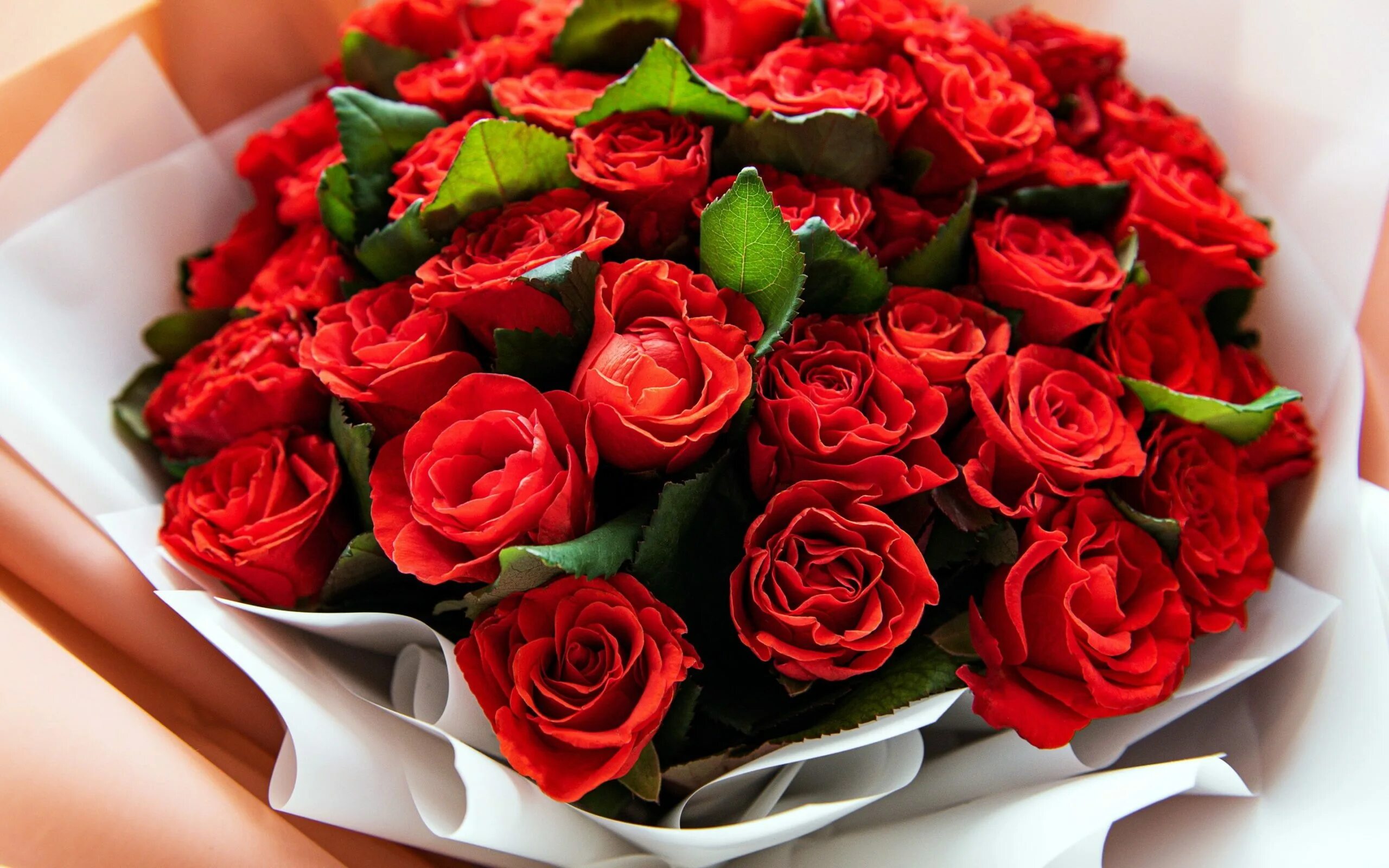 Roz. Rose Red Bouquet красные розы. Букет шикарный. Роскошные цветы.