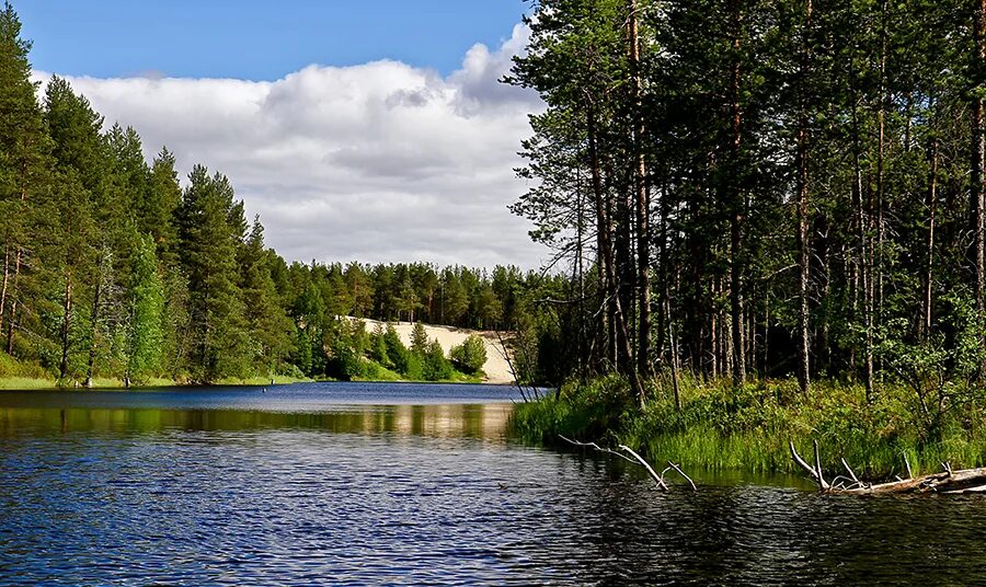 Велт Карелия. Северная Карелия. Проект Северная Карелия в Финляндии.