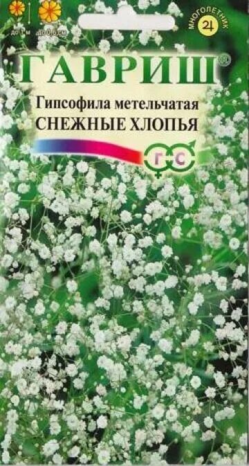 Гипсофила снежные хлопья метельч. Мн. (Гавриш). Гипсофила метельчатая снежные хлопья. Гипсофила метельчатая снежные хлопья 0,05 г Гавриш. Гипсофила снежные хлопья 0,05г ц/п (Гавриш) метельч.. Снежные хлопья цветы