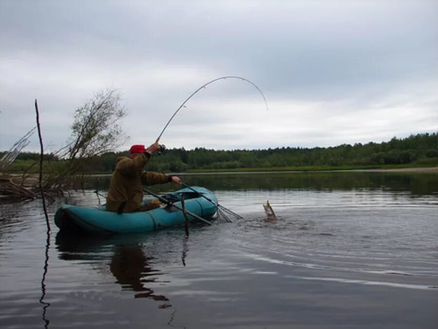 ловля щуки с лодки. ловля щуки с лодки. ловля щуки с лодки. ловля щуки с лодки. щука в лодке.