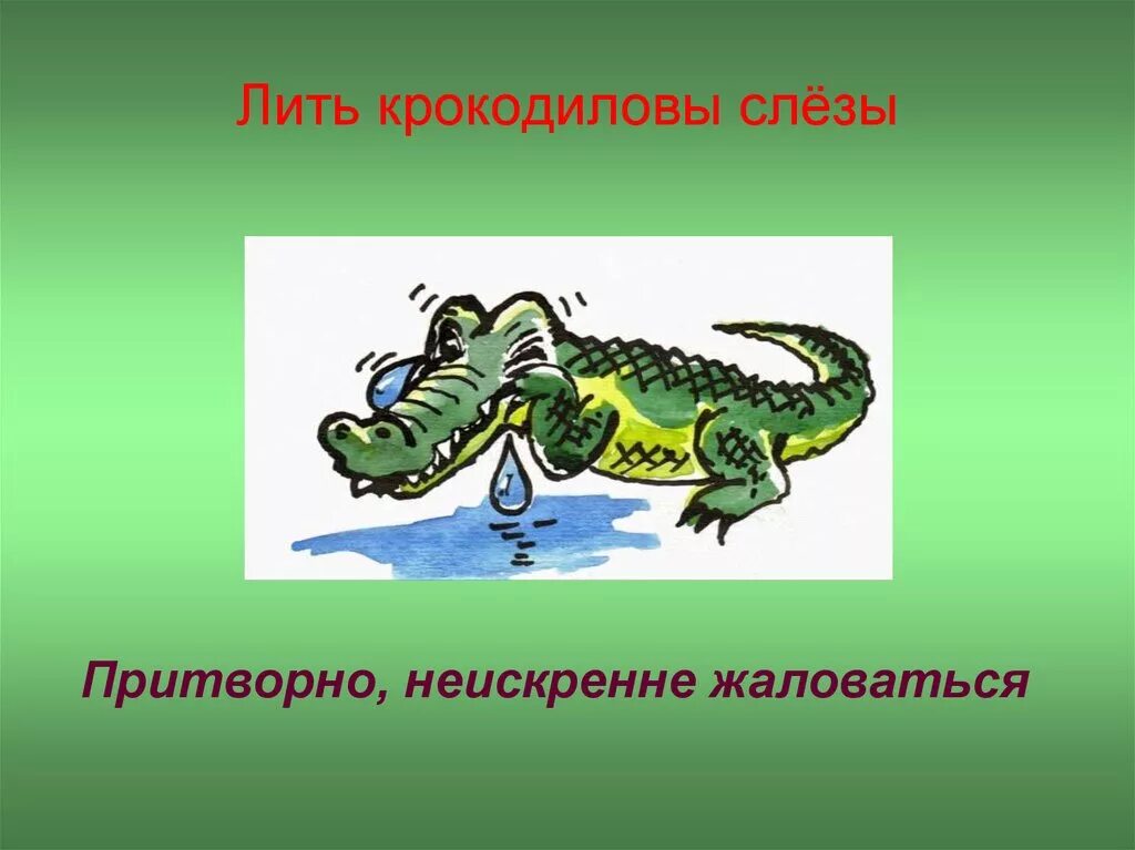 Притворно синоним. Крокодильи слезы фразеологизм. Фразеологизм лить Крокодиловы слезы. Фразеологизм Крокодиловы слезы рисунок. Фразеологизмы картинки крокодильи слезы.