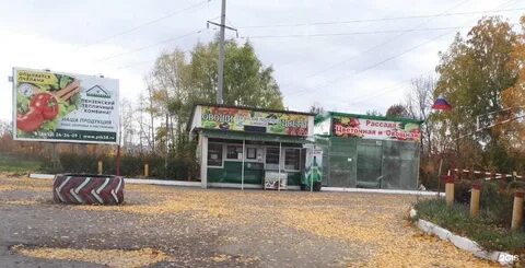 Тепличный пенза