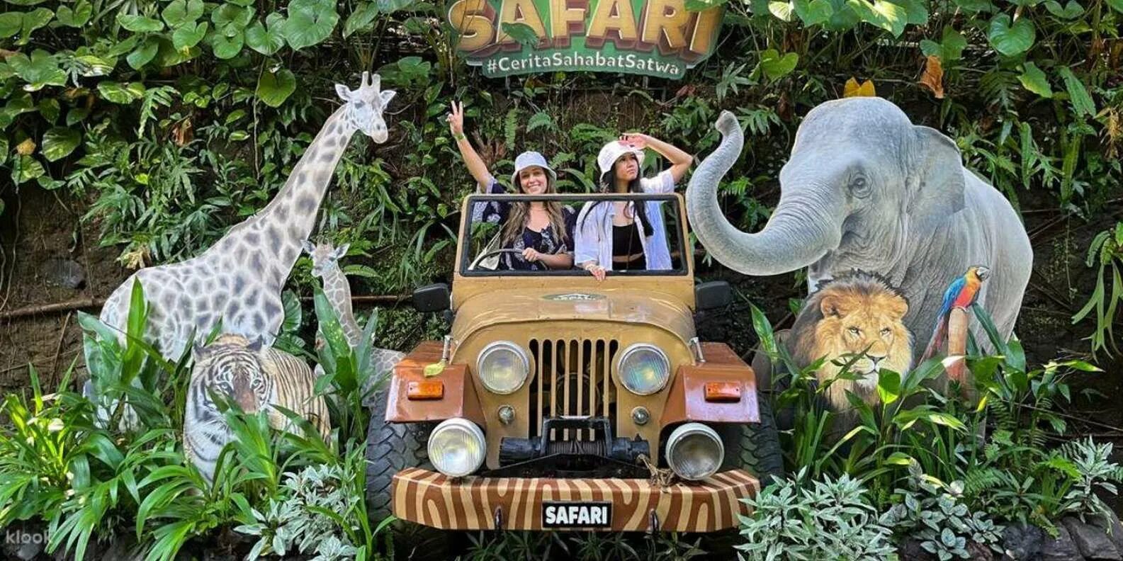 Salt safari el bali inshad. Сафари зоопарк дубай. Bali safari and marine park. Salt safari el bali inshad. Сафари бали.