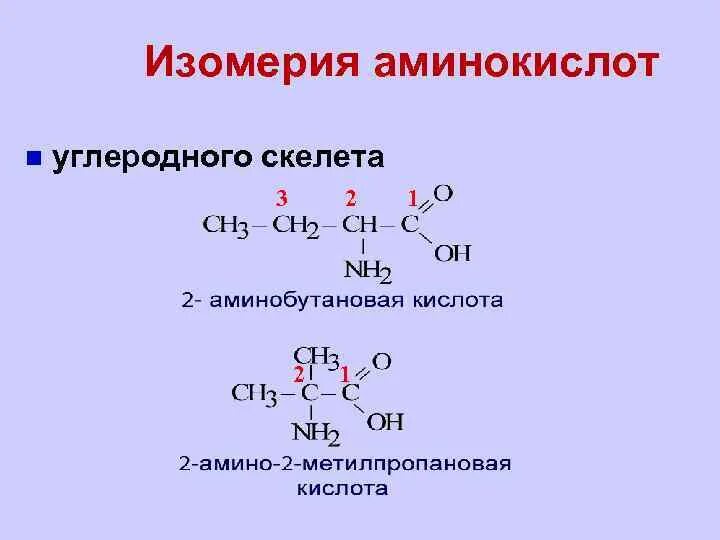 2 Амино 2 метилпропановая кислота энантиомеры. 2 Аминобутановая кислота оптическая изомерия. Амины изомерия углеродного скелета c4h9n. Формула 2 Амино 2 метилпропановой кислоты. 1 3 аминобутановая кислота