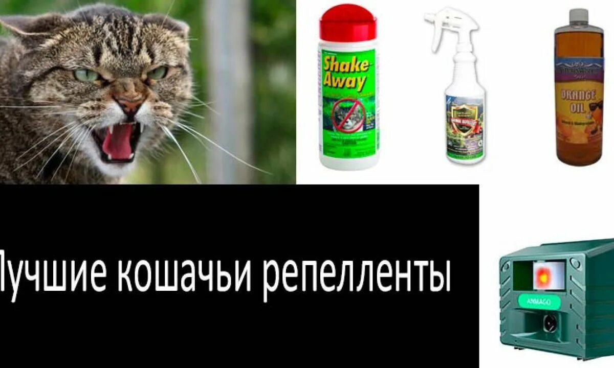 Спреи-репелленты для кошек. Репеллент от котов. Запахи которые отпугивают котов. Автоматический спрей отпугиватель для кошек.