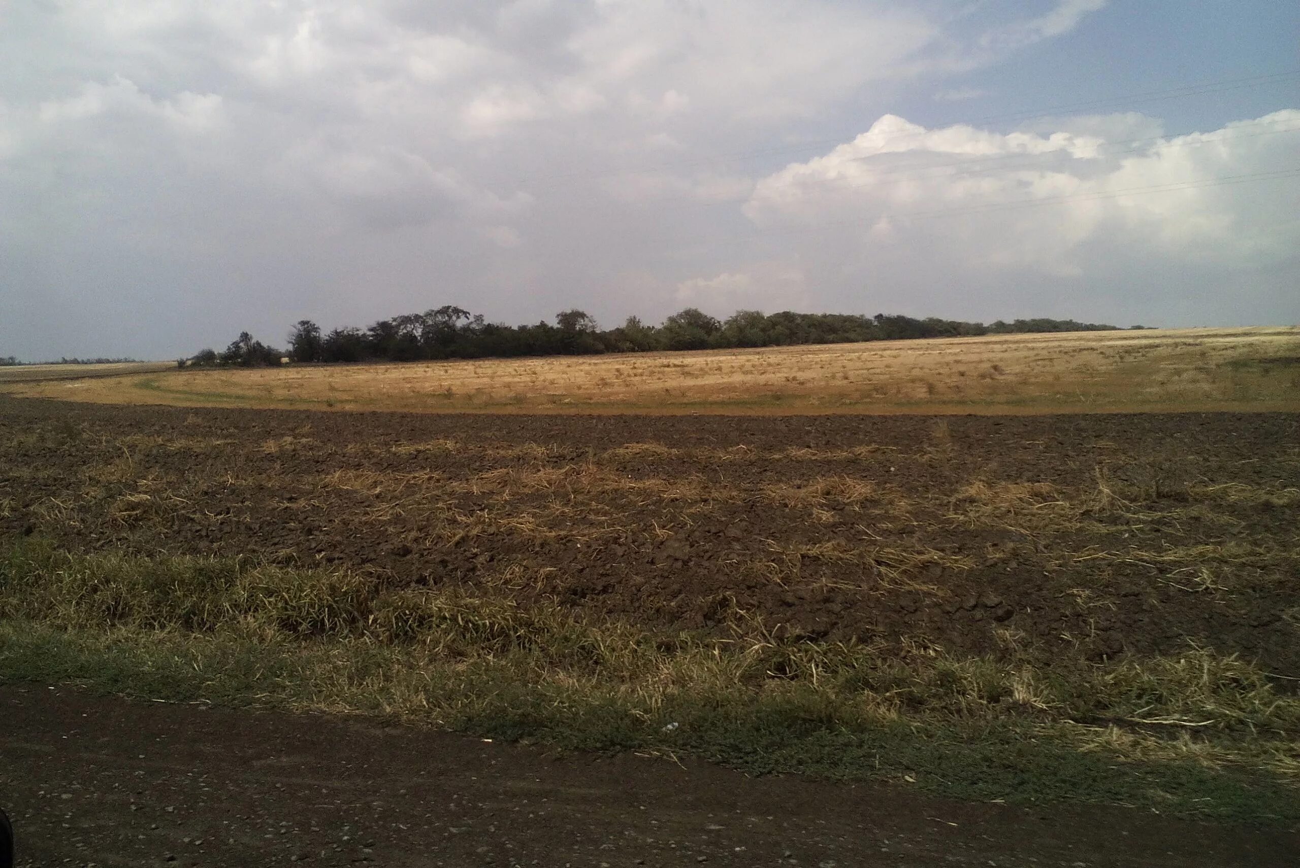 Арендовать земельный участок у администрации. Дашки 2 рязанский район. Сдача в аренду земель сельхозназначения. Romaska ou 151участок. Арендованная земля это.