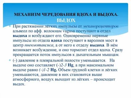 Чередование вдоха и выдоха
