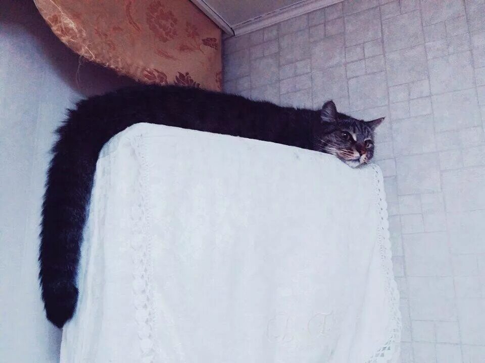 Длинную смешную
