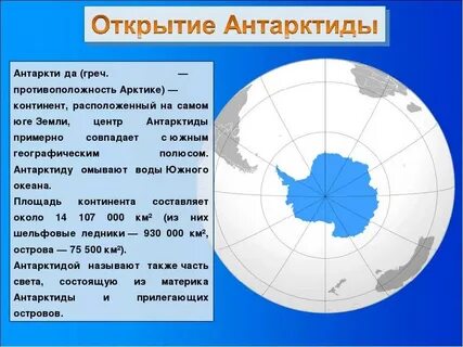 арктика и антарктика в чем разница