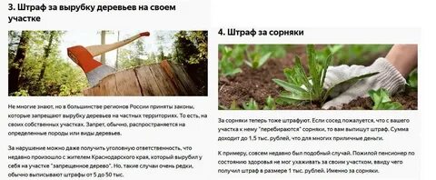 Штраф за срубленное дерево