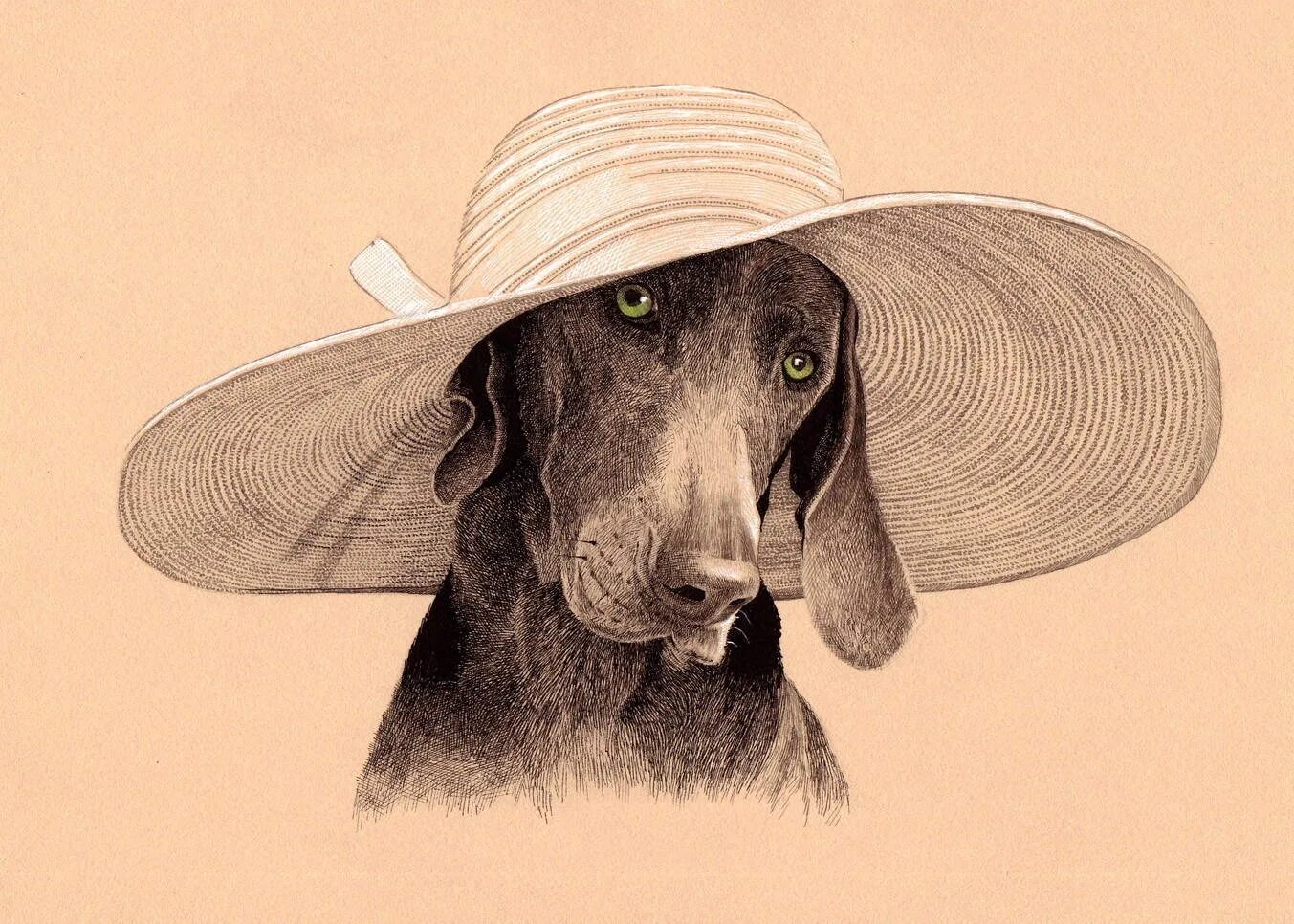 Пес шляпа. Собака в шляпе. Картина собака в шляпе. Собака в шляпе рисунок. Пес в шляпе.