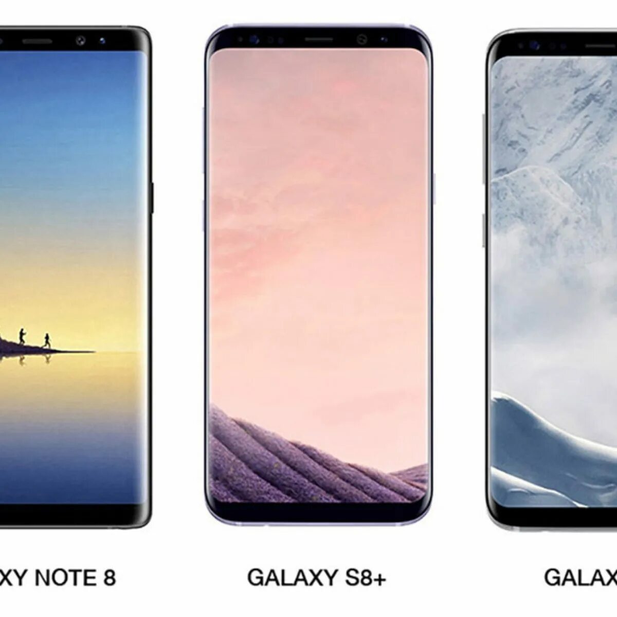 Сравнение самсунг 8. Samsung Galaxy s8 Note. Samsung Galaxy Note 8. Samsung Galaxy Note 8 Plus. Samsung Galaxy s8 vs Note 8.