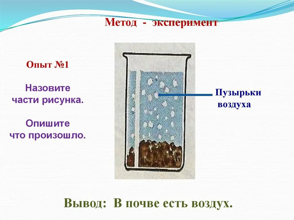 Почему в воде есть воздух. Опыт в почве есть воздух. В почве есть вода опыт. Эксперимент в почве есть воздух. Опыт доказывающий что в почве есть воздух.