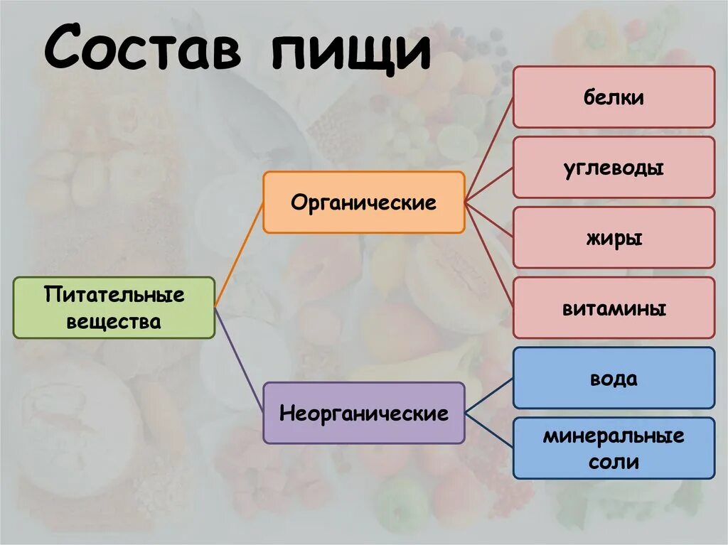 Значение пищи и ее состав конспект. Химический состав пищи человека. схема питания белки жиры углеводы. состав пищи схема. питательные вещества органические и неорганические вещества.