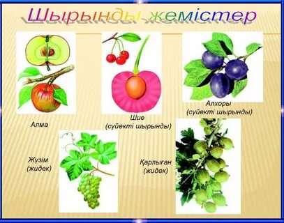 Үлкен өлшемді аналармен секс фотосуреттері