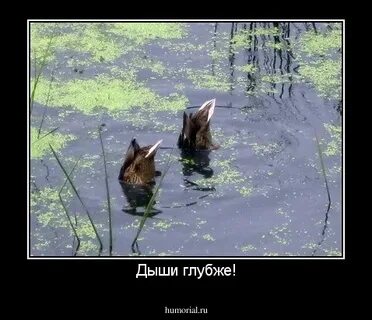 Дыши глубже
