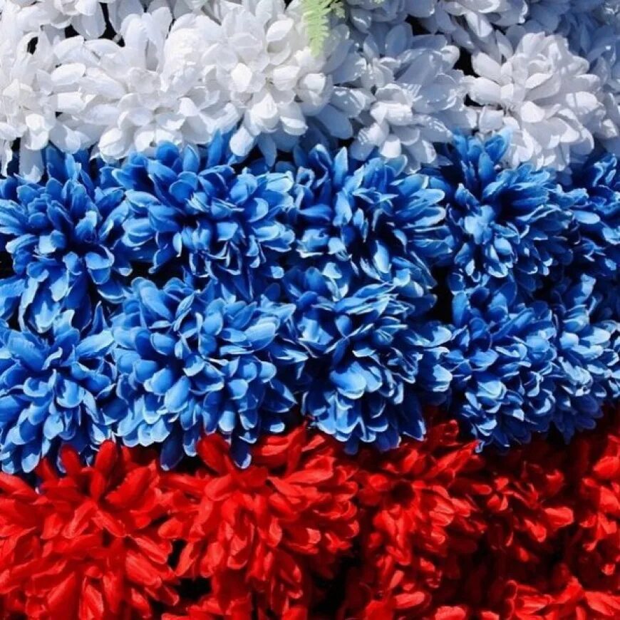 Цветок цвета российского флага