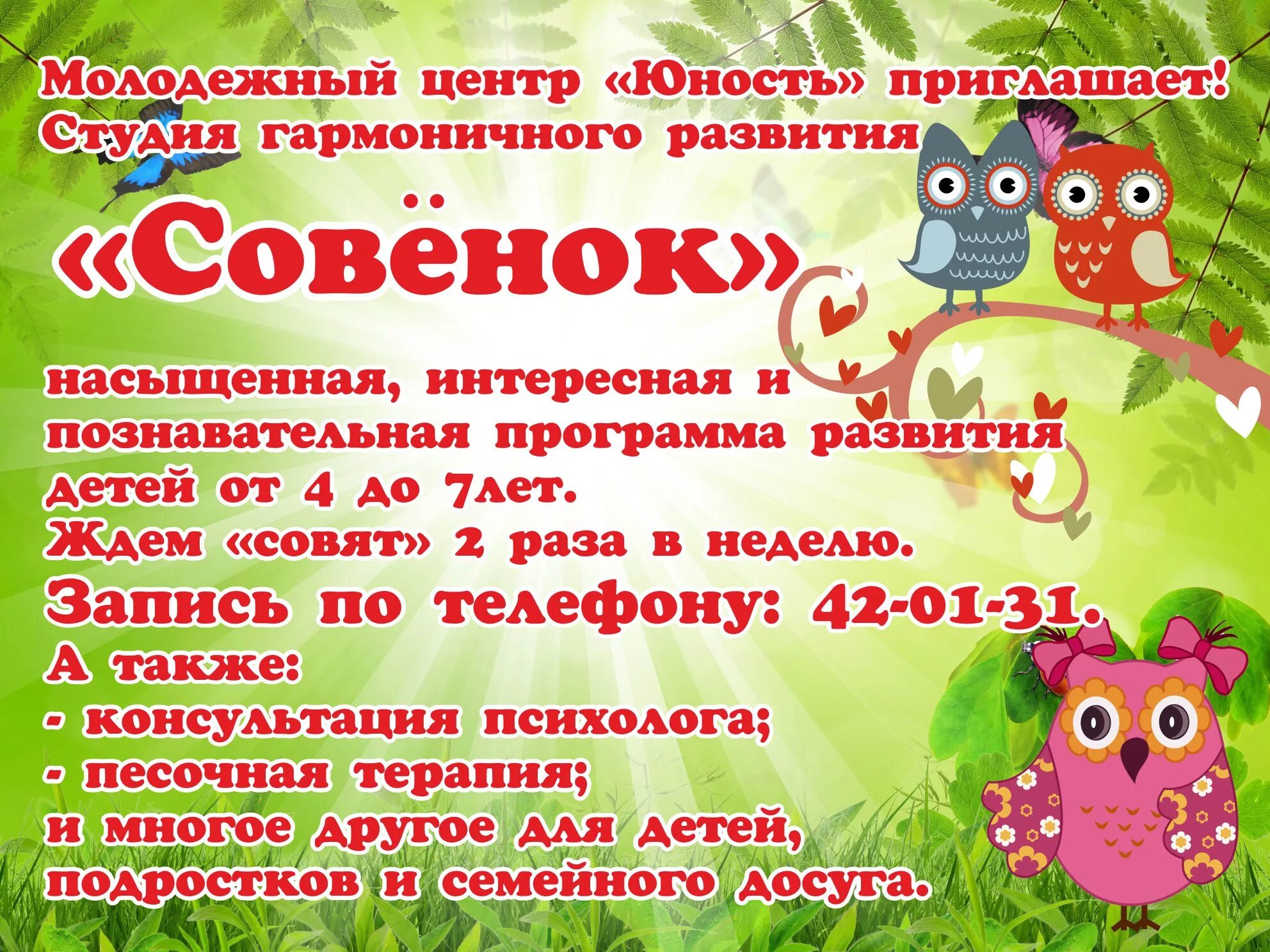Программа совенок. Детский центр совенок. студия раннего развития афиша. визитная карточка группы совята в детском саду. флаер школы развития совенок.
