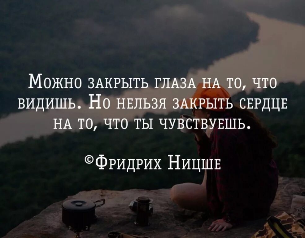 Дай цитату