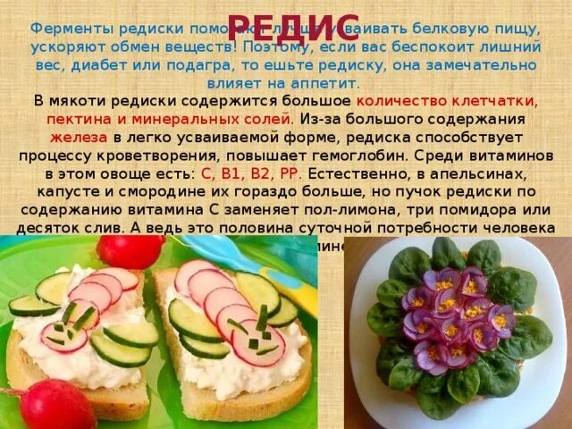 Редис при подагре