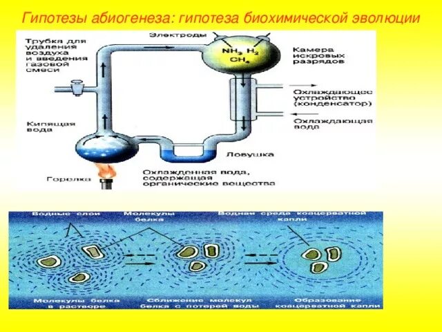 Последовательность этапов биохимической эволюции. Абиогенез этап эволюции. Гипотеза биохимической эволюции. Теория биохимической эволюции. Гипотеза абиогенеза.