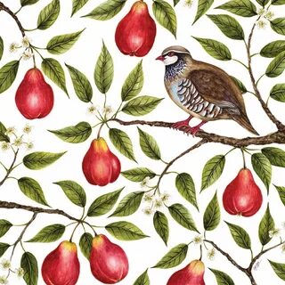 Museums and Galleries Partridge and Pear Tree Pack of 5 Chri