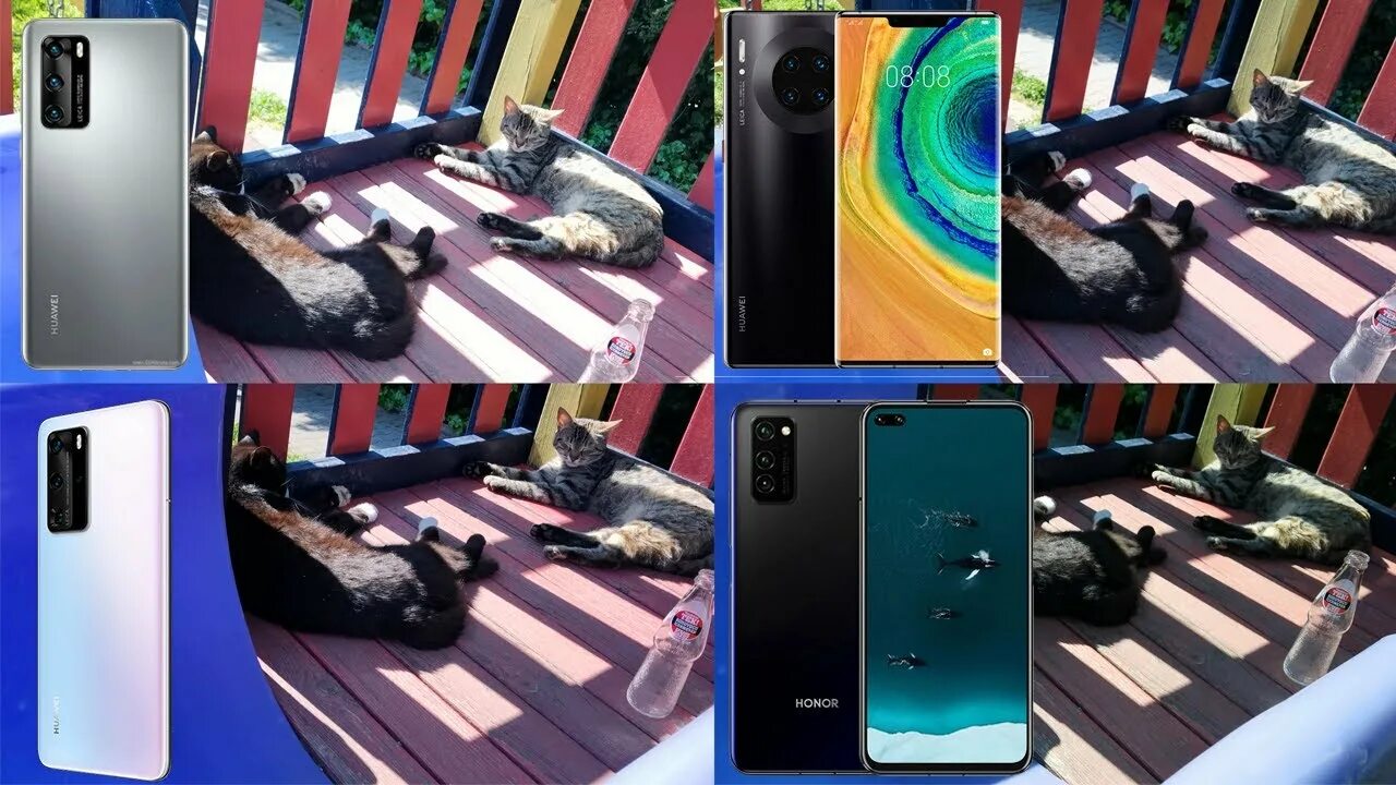 P60 pro сравнение камер. Huawei p30, p40 Pro. Хонор Mate 30 Pro. Huawei Mate 40 Pro vs Huawei p40 Pro. Honor 20 Pro vs Huawei p40 Pro.