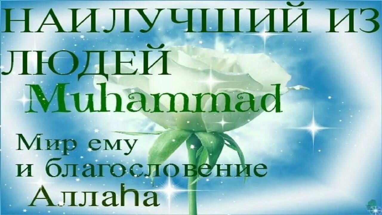 Пророк мир ему и благословение аллаха. Мир ему и благословение Аллаха. Пророк Мухаммед мир ему и благословение. Мир и благословение Пророку Мухаммаду. Мухаммад мир ему и благословение Аллаха.