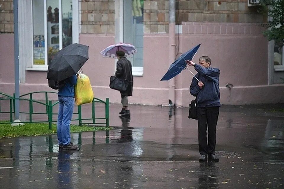 Ожидается сильный. Сильный ветер. Сильный дождь. Дождь и ветер. Дождливый день.