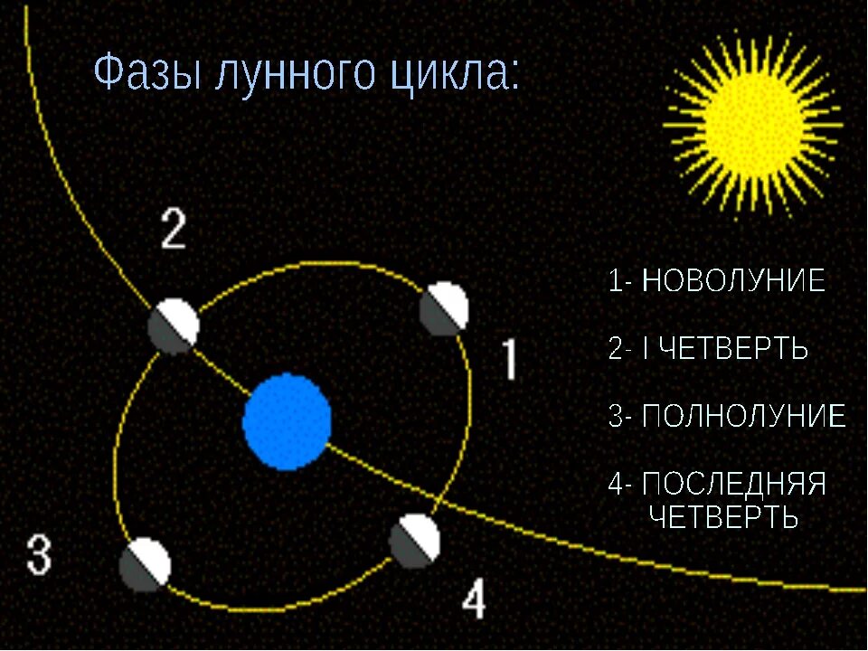 Цикл лунных фаз. Луна циклы фазы. Вторая четверть лунного цикла. Вторая фаза лунного цикла это. Где новолуние