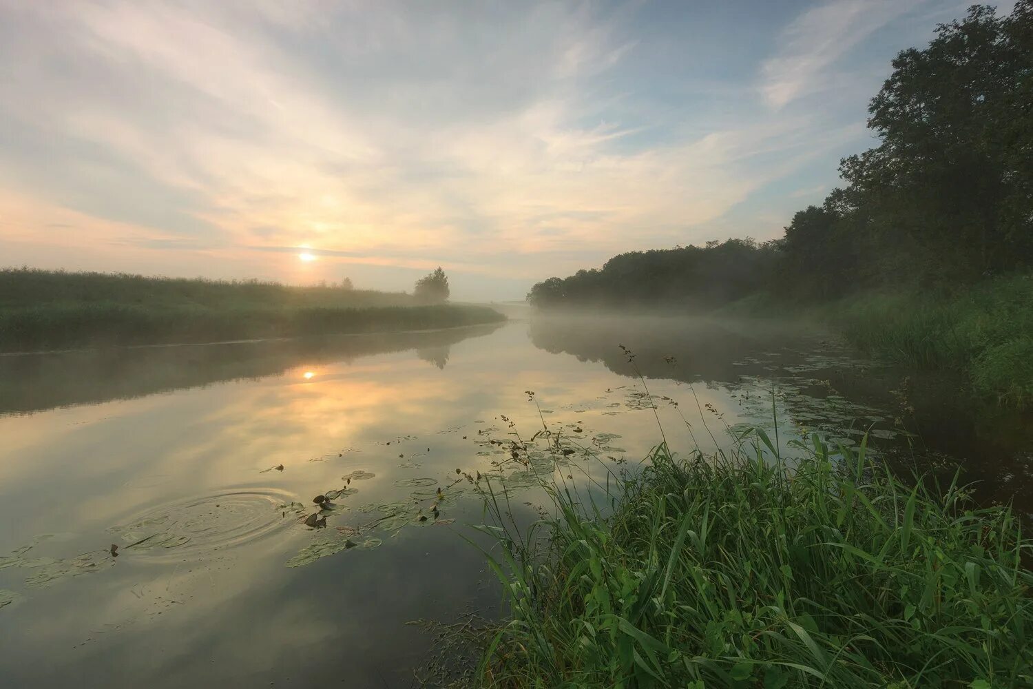 Озеро волго. Берега реки дубны. Берег волги дубна. Река дубна талдомский район. Дубна (приток волги).