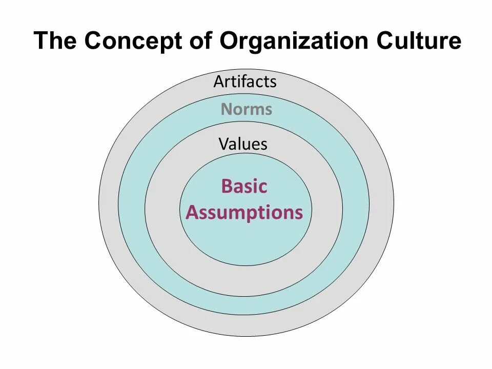 The Concept of Culture. Levels of Culture. Organization Culture. Types of Culture. Types of possible