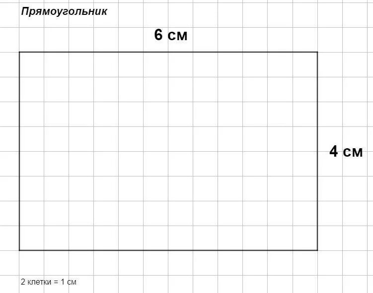 Постройте прямоугольник со сторонами. Стороны прямоугольника. Прямоугольник со сторонами 4 см и 6 см. Прямоугольник в клеточку. Прямоугольник со сторонами 4 и 6 см.