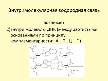 Внутримолекулярная водородная связь