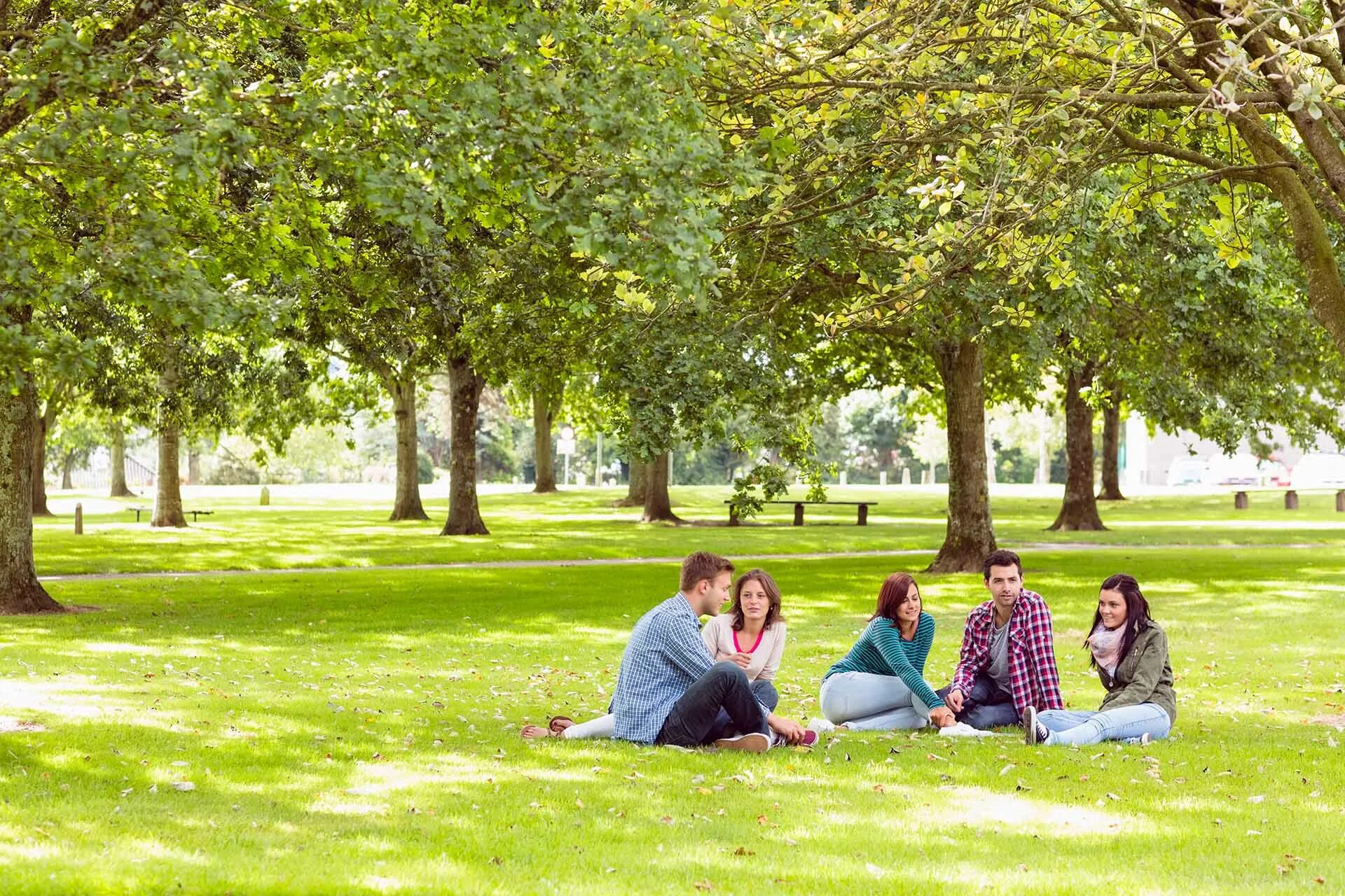 Student park. Люди в парке. Люди на траве в парке. Люди на лужайке в парке. Люди отдыхают в парке.