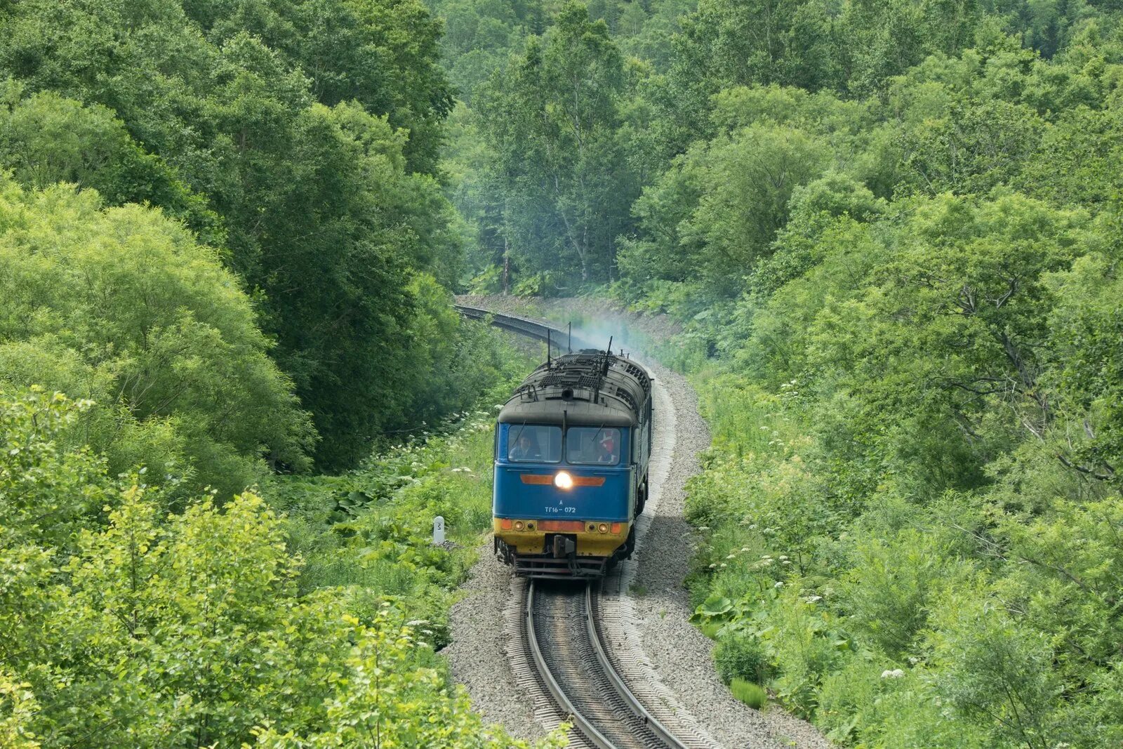 Взморье разбор