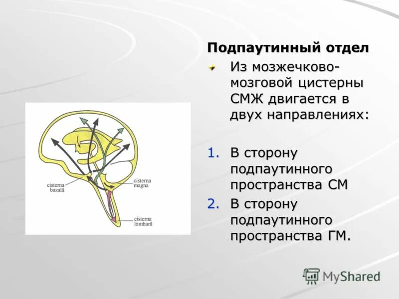 цистерны головного мозга. подпаутинные цистерны головного мозга. охватывающая цистерна головного мозга анатомия. базальные цистерны головного мозга кт. мозжечково мозговая цистерна.