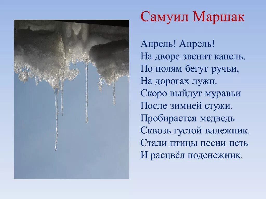 Стихотворение будет апрель. Апрель Маршак стих. Маршак апрель апрель на дворе звенит капель. Стих апрель апрель на дворе капель. Весенняя капель стихи.