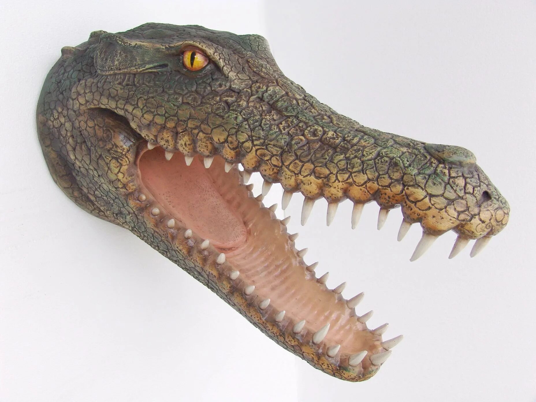 Крокодилы открывают рот. Рамфозух крокодил. Голова крокодила. Морда крокодила. Лицо крокодила.
