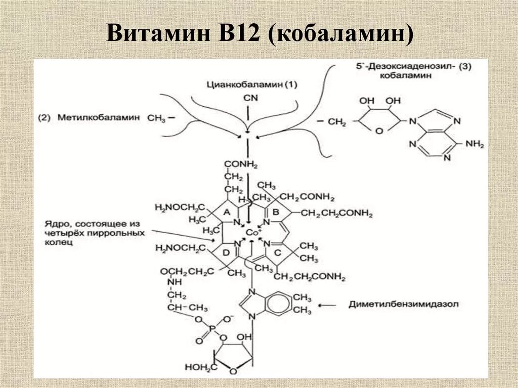 Кобальт входит в состав в12. Витамин в12 структурная формула. витамин б12 кофермент.