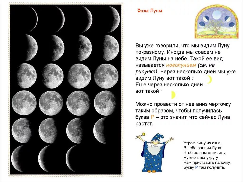 Как мы видим луну. Фазы Луны. Фазы Луны для детей. Фазы Луны изображение. Луна для дошкольников.