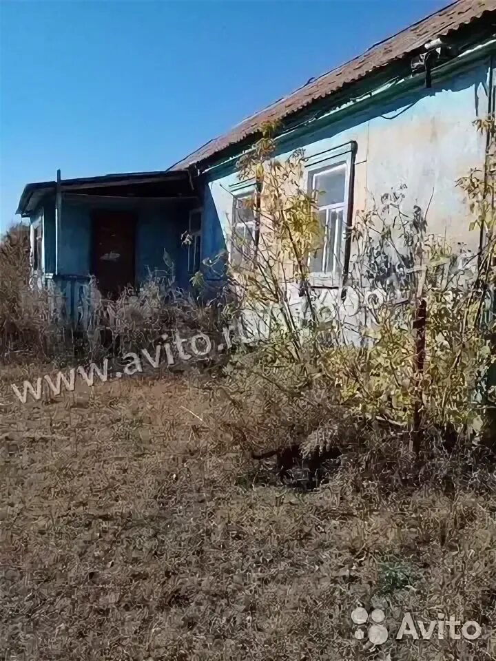 Погода егинсай соль илецкий. Егинсай фото.
