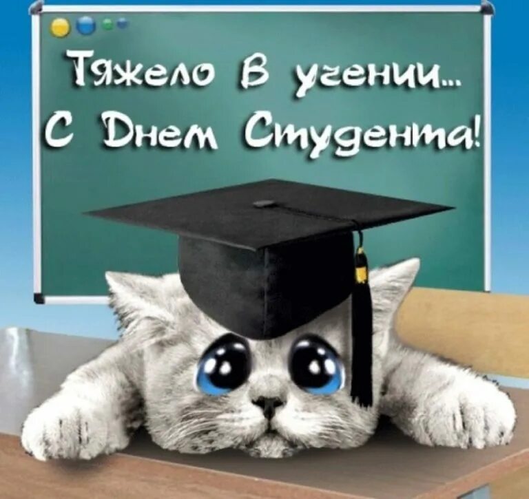 С днем студента прикольные смешные. С днём студента поздравления. с днём студента поздравления прикольные. с днём студента поздравления открытки. с днем студента открытки прикольные.
