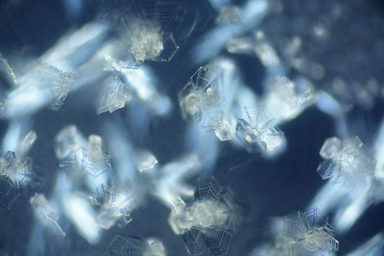 Кристаллы льда под микроскопом. Лед под микроскопом. Снег в микроскопе. Кристаллики льда под микроскопом.