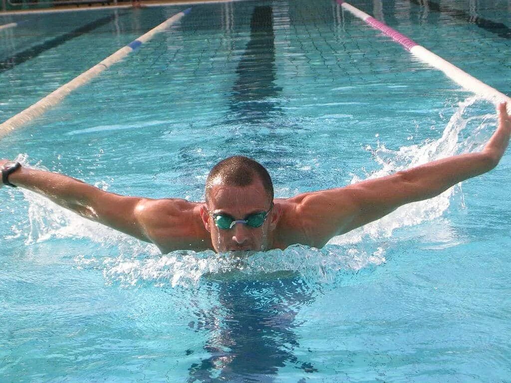 I learned how to swim. Баттерфляй плавание. learn to swim.