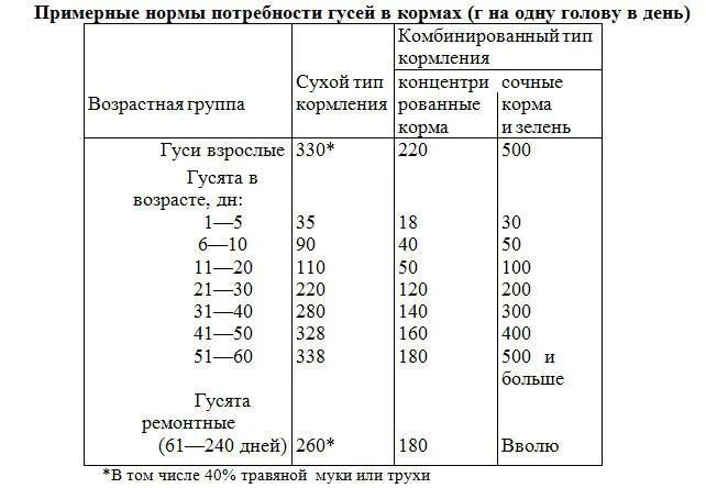 Чем кормить суточных гусят. Нормы кормления гусей комбикормом. Нормы кормления гусей таблица. Нормы кормления гусей комбикормом таблица. Норма корма для гусят в сутки.